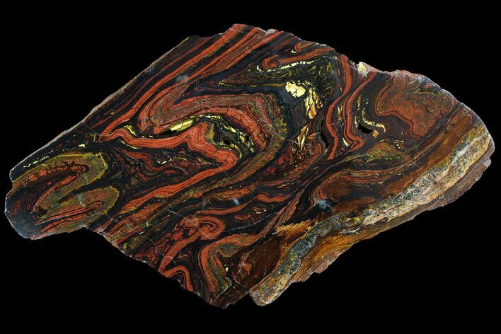 Polished Tiger Iron Stromatolite - ( Billion Years) #92823